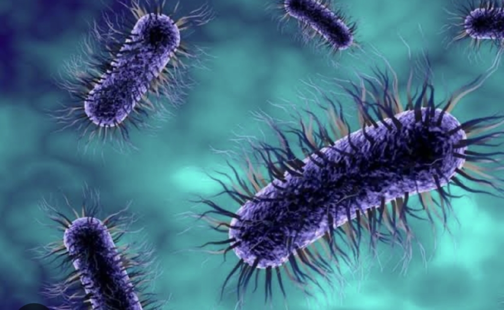Yapay Zekayla Süper Bakteriye Karşı Antibiyotik Yeni Kiraz 0818