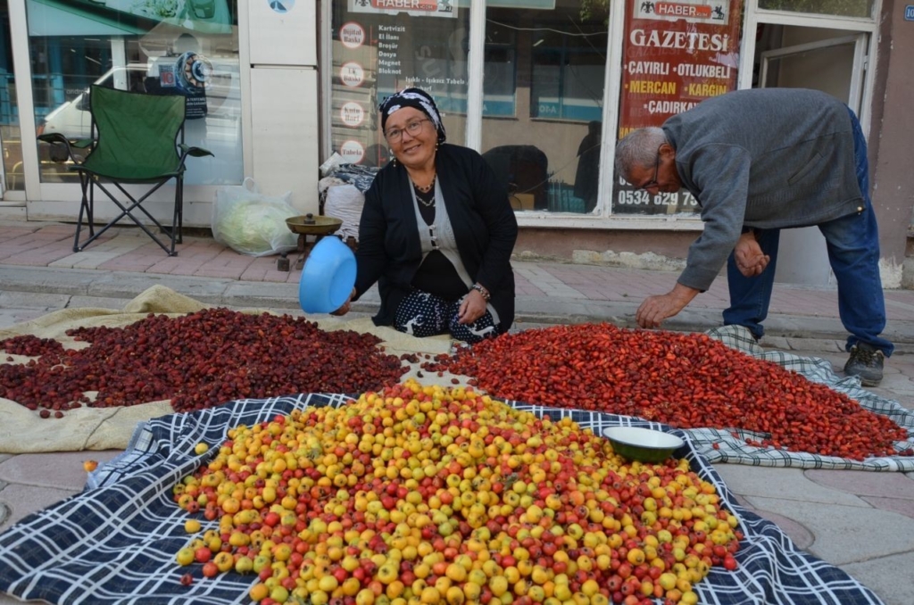 Tercan dağlarında yetişen yaban meyveleri pazar tezğahlarını süslüyor